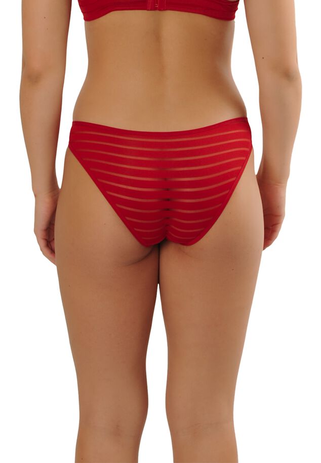 Iconic Brief Rood